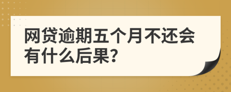 网贷逾期五个月不还会有什么后果？