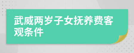 武威两岁子女抚养费客观条件