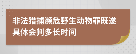 非法猎捕濒危野生动物罪既遂具体会判多长时间