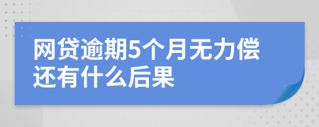 网贷逾期5个月无力偿还有什么后果