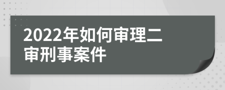 2022年如何审理二审刑事案件