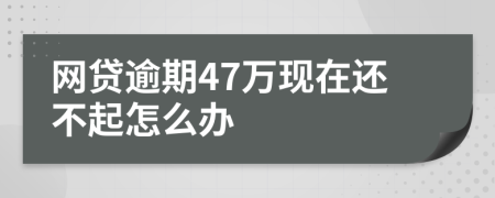 网贷逾期47万现在还不起怎么办