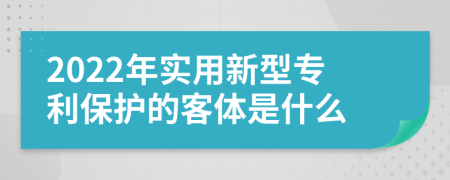 2022年实用新型专利保护的客体是什么