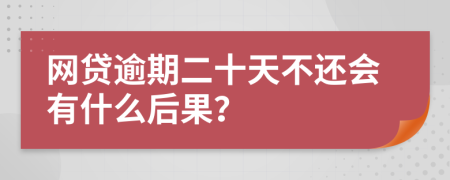 网贷逾期二十天不还会有什么后果？