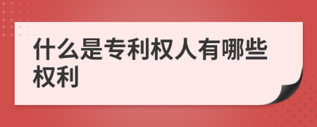 什么是专利权人有哪些权利