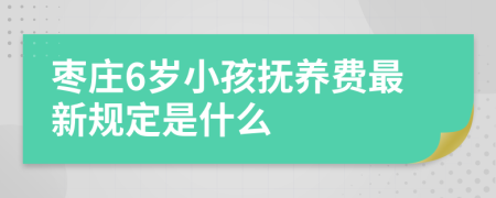 枣庄6岁小孩抚养费最新规定是什么