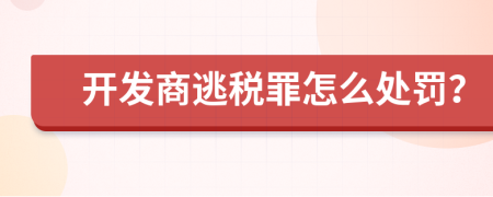 开发商逃税罪怎么处罚？