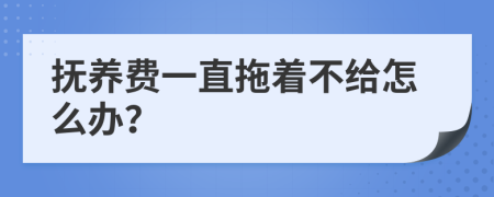 抚养费一直拖着不给怎么办？