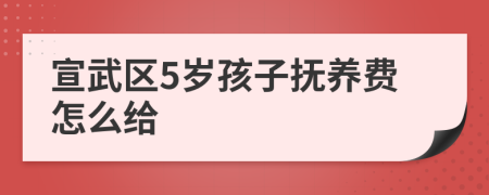 宣武区5岁孩子抚养费怎么给