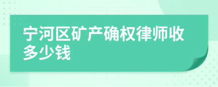 宁河区矿产确权律师收多少钱