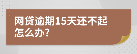 网贷逾期15天还不起怎么办?