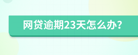 网贷逾期23天怎么办？