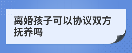 离婚孩子可以协议双方抚养吗