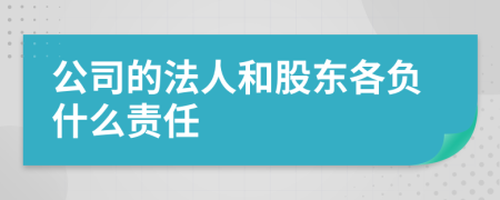 公司的法人和股东各负什么责任