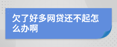 欠了好多网贷还不起怎么办啊