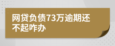 网贷负债73万逾期还不起咋办