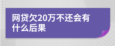 网贷欠20万不还会有什么后果