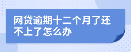 网贷逾期十二个月了还不上了怎么办