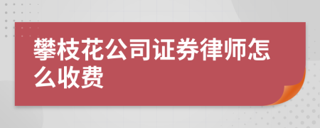 攀枝花公司证券律师怎么收费