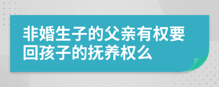 非婚生子的父亲有权要回孩子的抚养权么