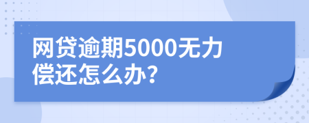 网贷逾期5000无力偿还怎么办？