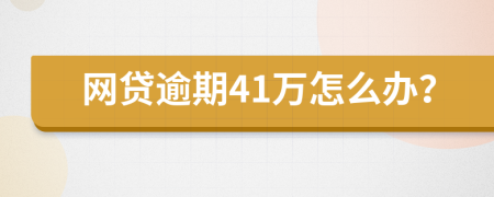 网贷逾期41万怎么办？