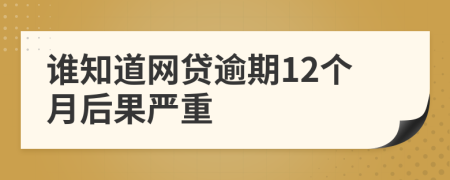 谁知道网贷逾期12个月后果严重