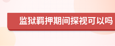 监狱羁押期间探视可以吗