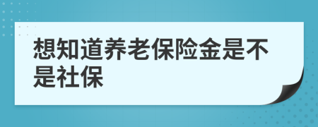 想知道养老保险金是不是社保