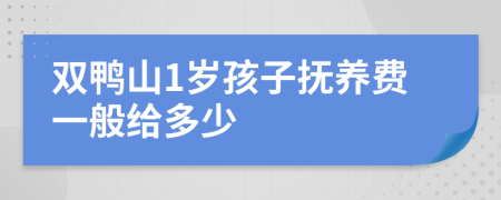 双鸭山1岁孩子抚养费一般给多少