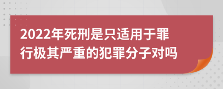 2022年死刑是只适用于罪行极其严重的犯罪分子对吗