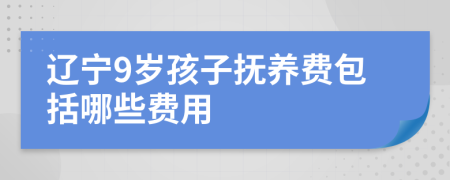 辽宁9岁孩子抚养费包括哪些费用