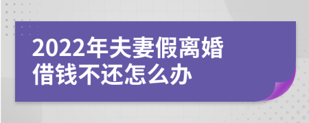 2022年夫妻假离婚借钱不还怎么办