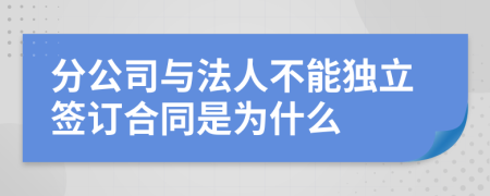 分公司与法人不能独立签订合同是为什么