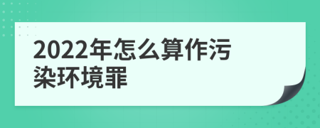 2022年怎么算作污染环境罪