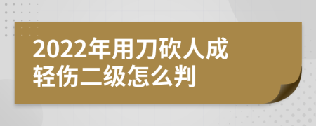 2022年用刀砍人成轻伤二级怎么判