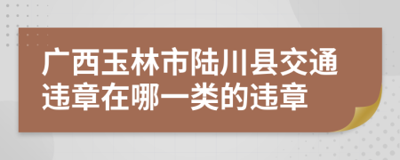 广西玉林市陆川县交通违章在哪一类的违章