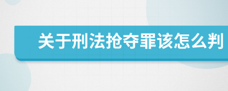 关于刑法抢夺罪该怎么判