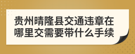 贵州晴隆县交通违章在哪里交需要带什么手续