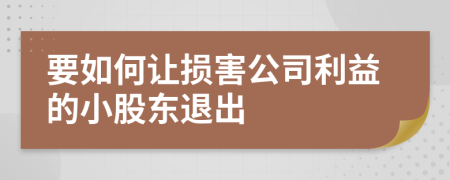 要如何让损害公司利益的小股东退出