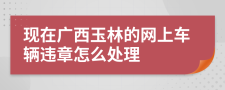 现在广西玉林的网上车辆违章怎么处理