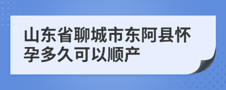 山东省聊城市东阿县怀孕多久可以顺产