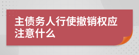 主债务人行使撤销权应注意什么