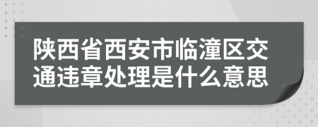 陕西省西安市临潼区交通违章处理是什么意思