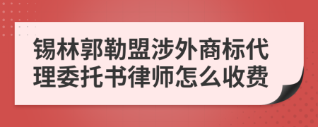 锡林郭勒盟涉外商标代理委托书律师怎么收费