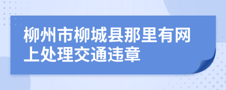 柳州市柳城县那里有网上处理交通违章