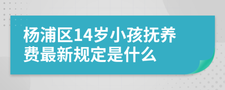 杨浦区14岁小孩抚养费最新规定是什么