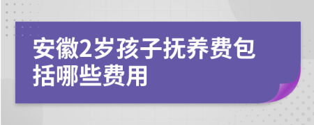 安徽2岁孩子抚养费包括哪些费用