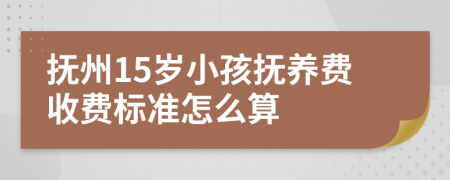 抚州15岁小孩抚养费收费标准怎么算
