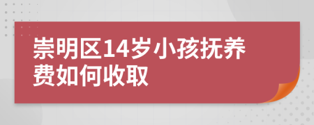 崇明区14岁小孩抚养费如何收取
